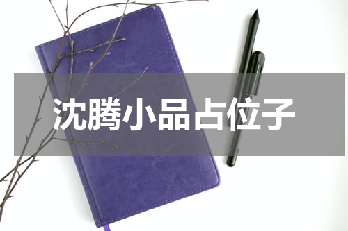 沈腾小品占位子
