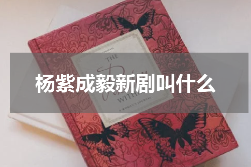 杨紫成毅新剧叫什么