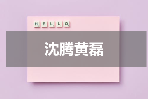沈腾黄磊