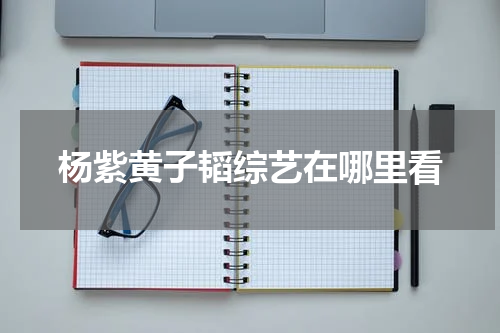 杨紫黄子韬综艺在哪里看
