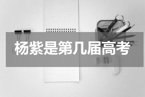 杨紫是第几届高考