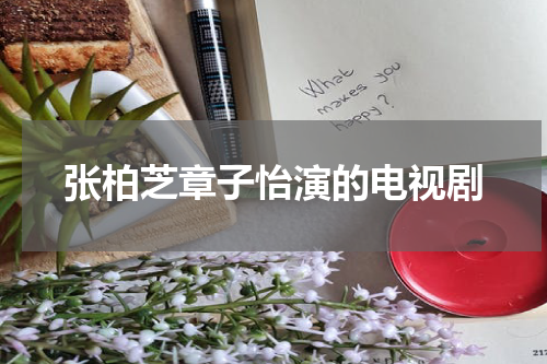 张柏芝章子怡演的电视剧