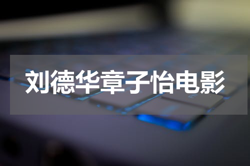 刘德华章子怡电影