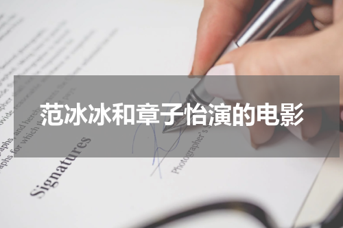 范冰冰和章子怡演的电影