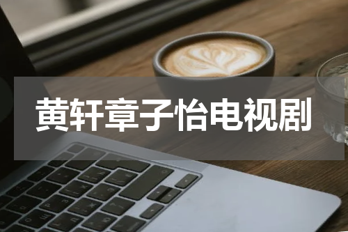 黄轩章子怡电视剧