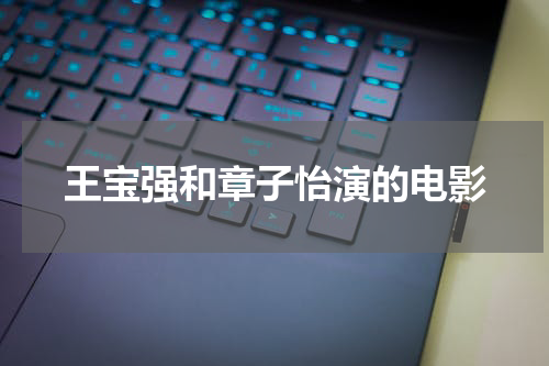 王宝强和章子怡演的电影