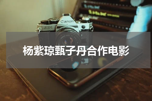 杨紫琼甄子丹合作电影