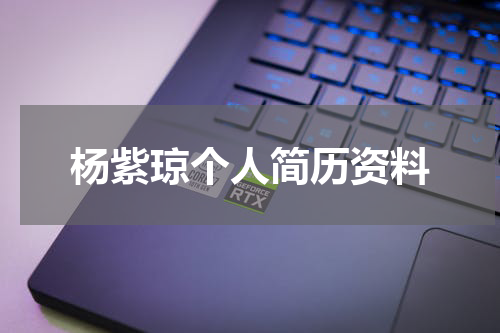 杨紫琼个人简历资料