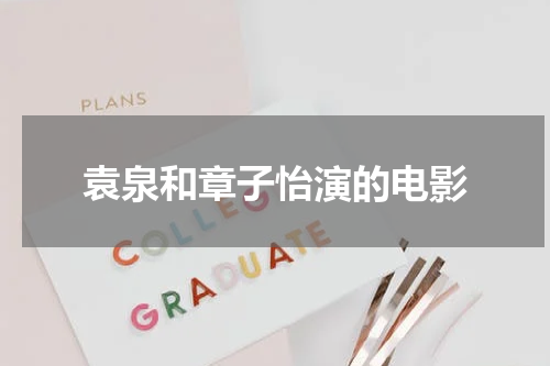袁泉和章子怡演的电影