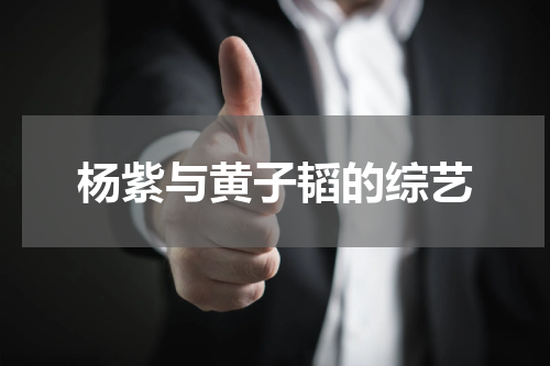杨紫与黄子韬的综艺