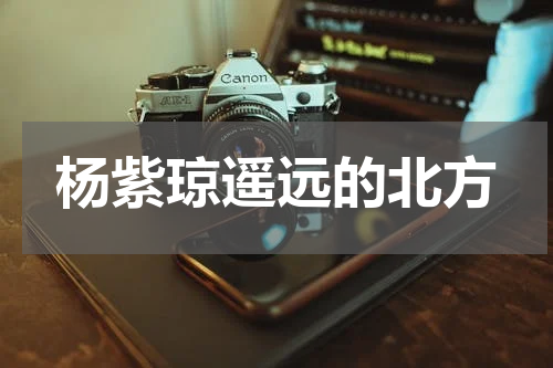 杨紫琼遥远的北方