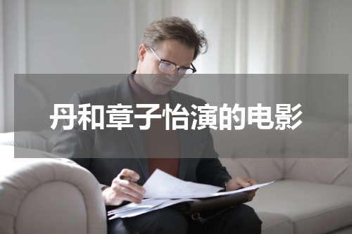 丹和章子怡演的电影