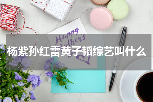 杨紫孙红雷黄子韬综艺叫什么
