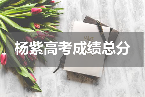 杨紫高考成绩总分