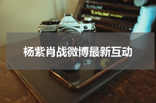 杨紫肖战微博最新互动
