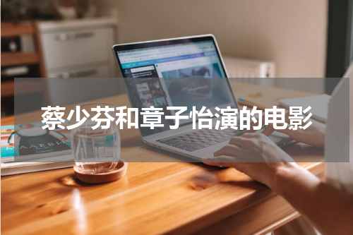 蔡少芬和章子怡演的电影