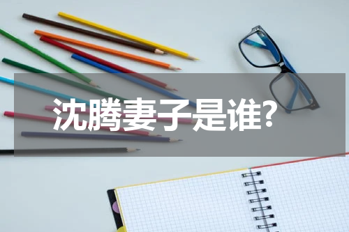 沈腾妻子是谁?
