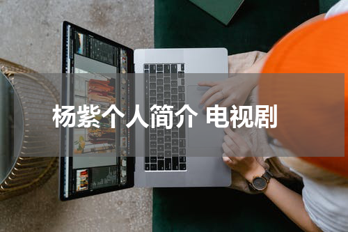 杨紫个人简介 电视剧