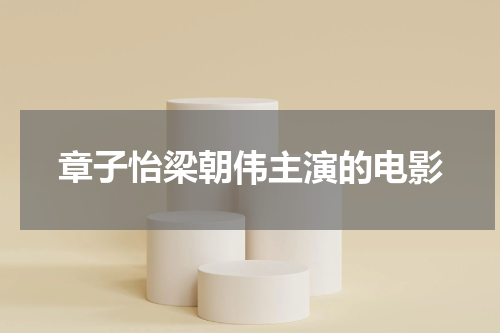 章子怡梁朝伟主演的电影