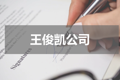 王俊凯公司