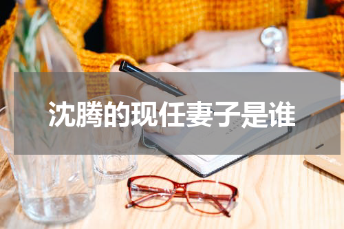沈腾的现任妻子是谁
