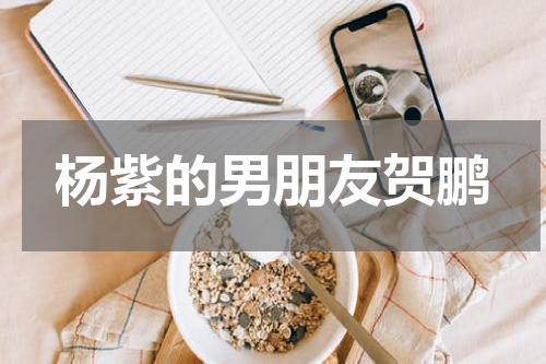 杨紫的男朋友贺鹏