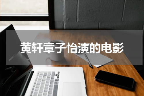 黄轩章子怡演的电影