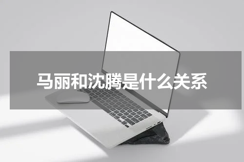 马丽和沈腾是什么关系