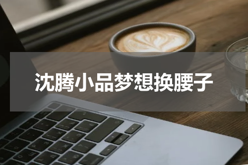 沈腾小品梦想换腰子