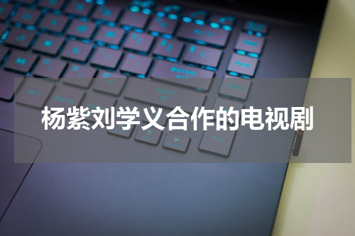 杨紫刘学义合作的电视剧
