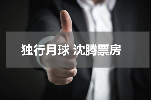 独行月球 沈腾票房