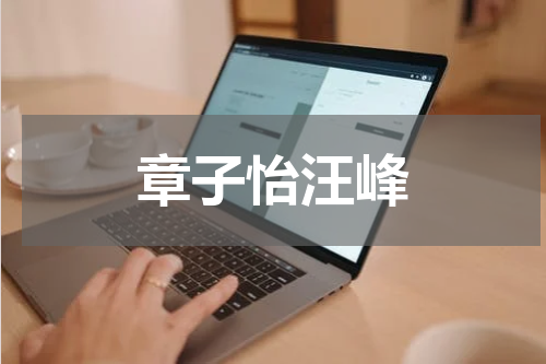 章子怡汪峰