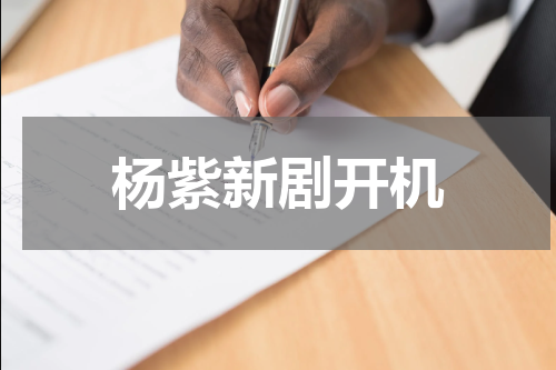 杨紫新剧开机