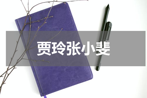 贾玲张小斐
