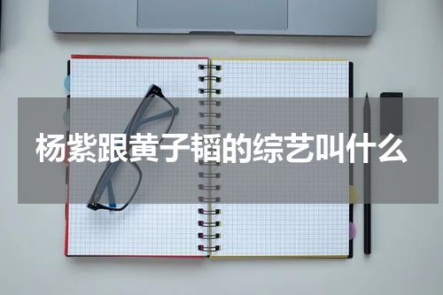 杨紫跟黄子韬的综艺叫什么