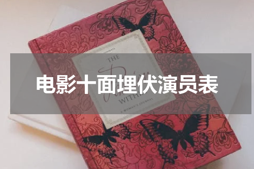 电影十面埋伏演员表