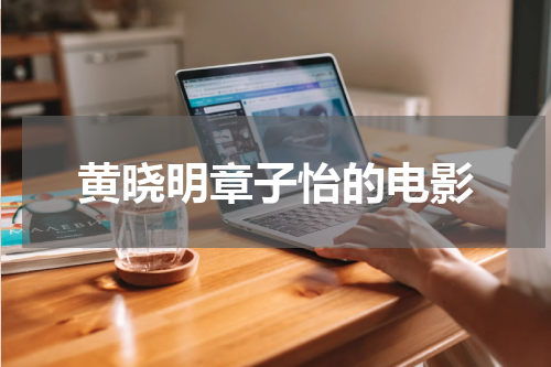 黄晓明章子怡的电影