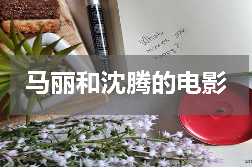 马丽和沈腾的电影