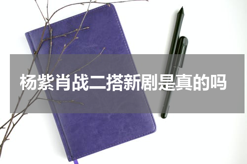 杨紫肖战二搭新剧是真的吗