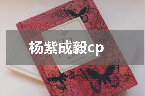 杨紫成毅cp