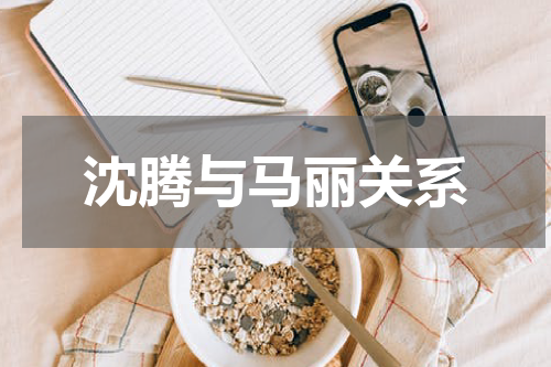 沈腾与马丽关系