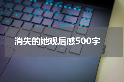 消失的她观后感500字