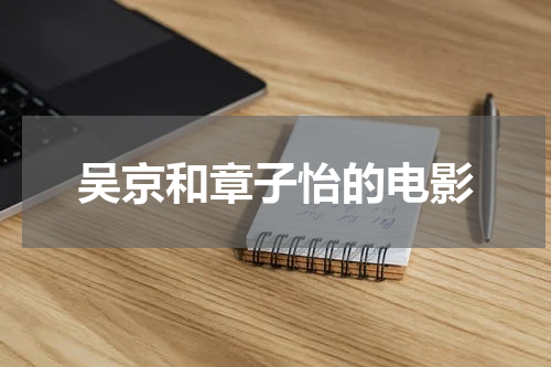 吴京和章子怡的电影