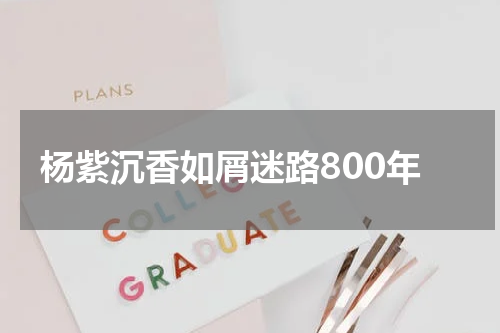 杨紫沉香如屑迷路800年
