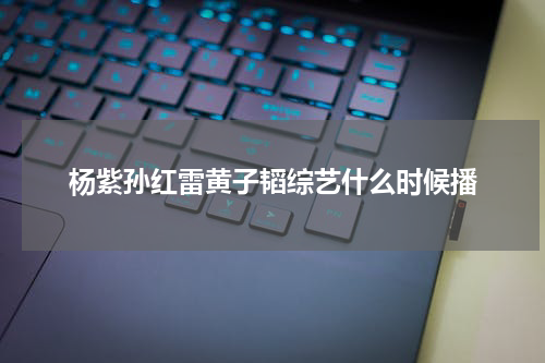 杨紫孙红雷黄子韬综艺什么时候播