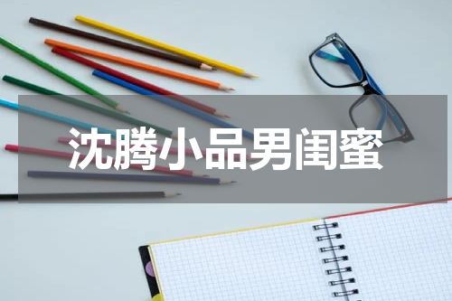 沈腾小品男闺蜜