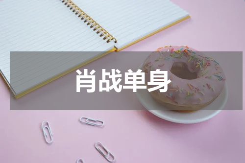 肖战单身