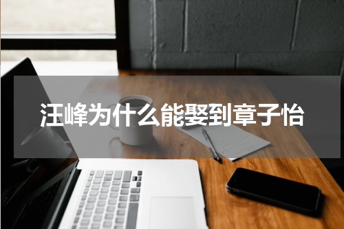 汪峰为什么能娶到章子怡