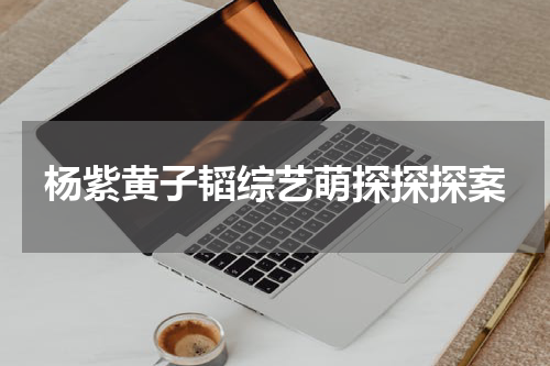 杨紫黄子韬综艺萌探探探案