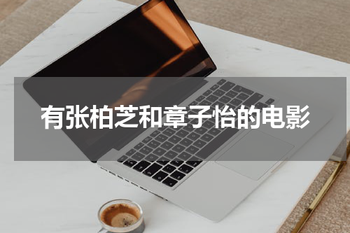 有张柏芝和章子怡的电影